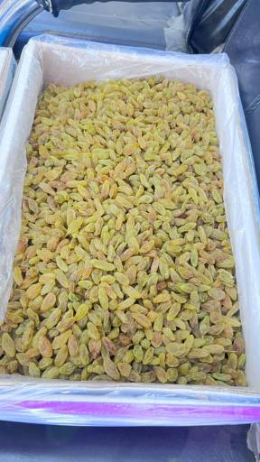 عکس خشکبار سید محمد آقایی