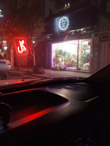 عکس گل فروشی مومیایی