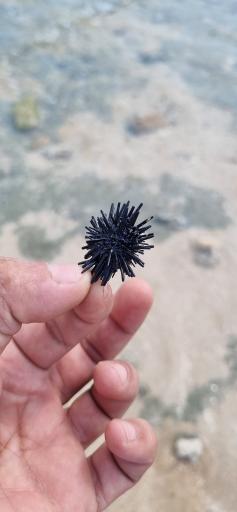 عکس پارک آفتاب