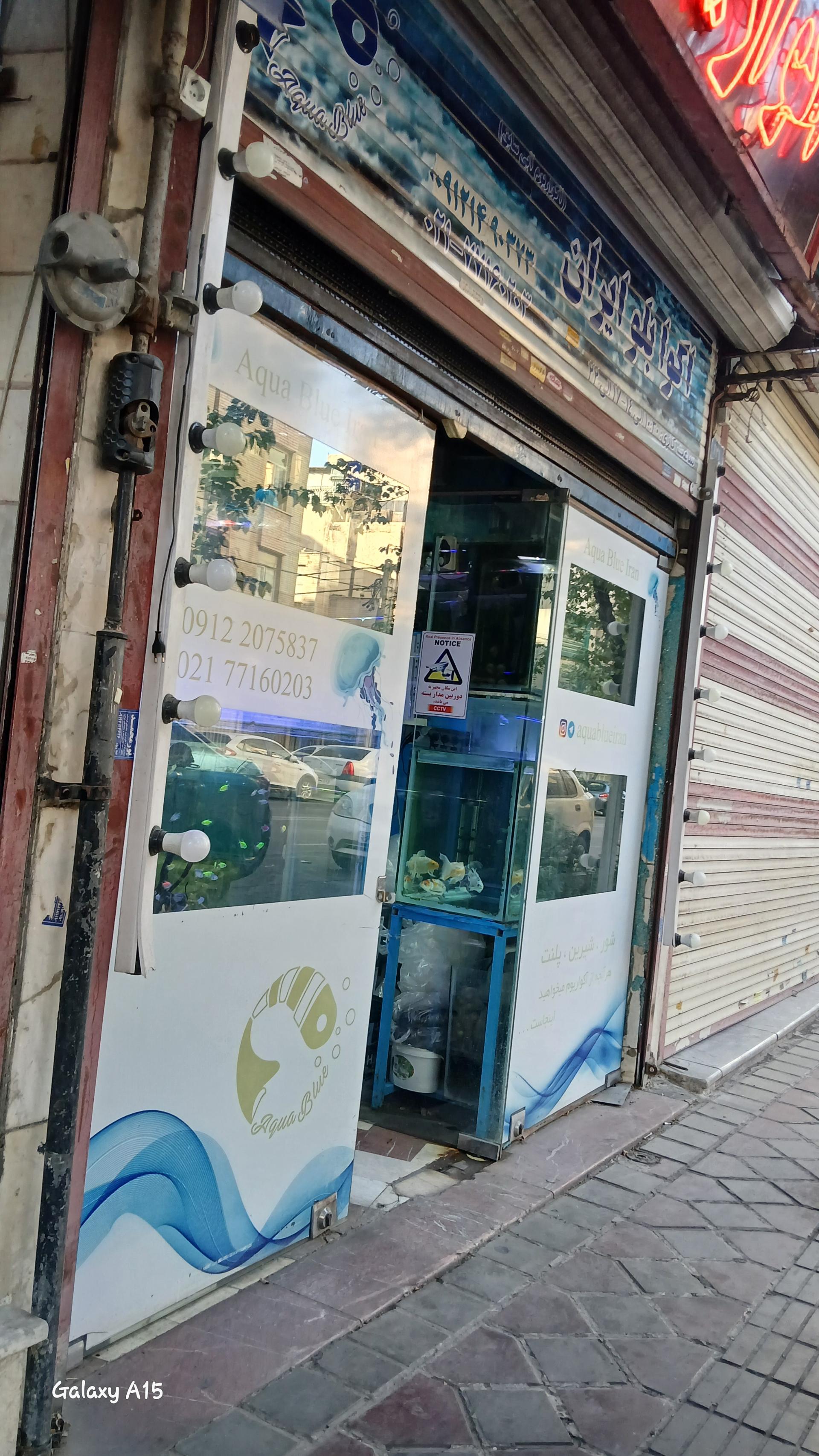 عکس آکواریوم آکوابلو ایران 