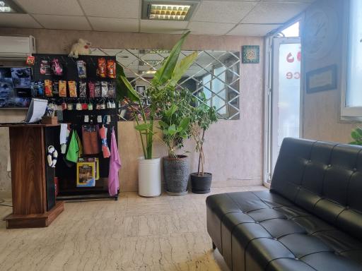 عکس کارواش وی آی پی کیان