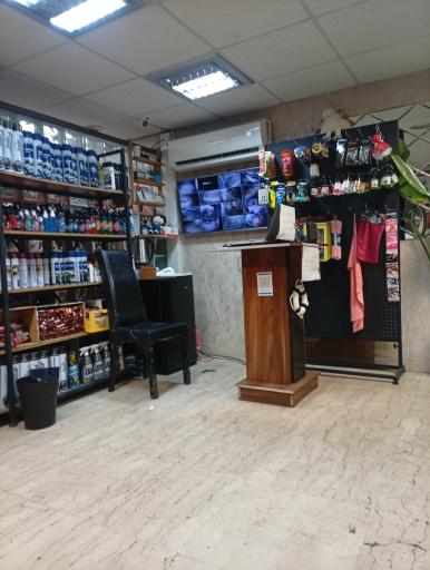 عکس کارواش وی آی پی کیان