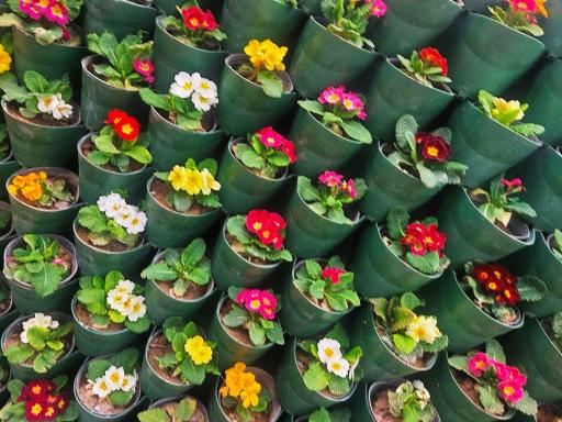 عکس باغ گیاه شناسی