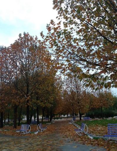 عکس پارک جانبازان