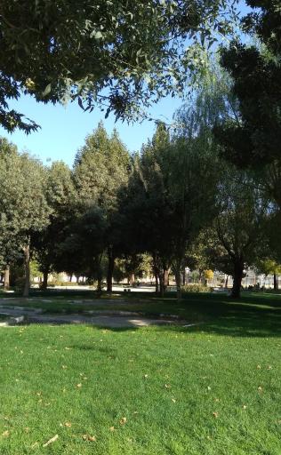 عکس پارک جانبازان