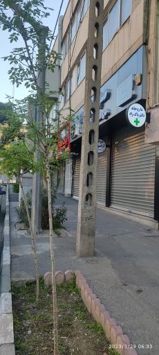 عکس فست فود بيگ شف