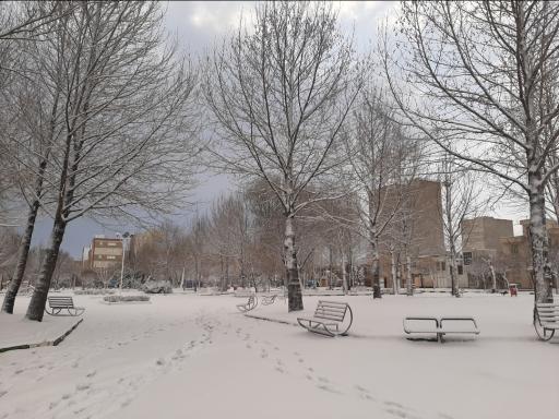 عکس پارک جانبازان