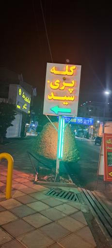 عکس کله پزی سید