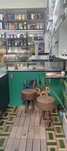 عکس کافه کاکتوس