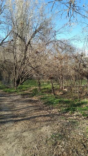 عکس رودخانه برغان