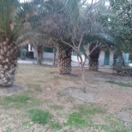 عکس ضلع جنوبی بوستان بسیج