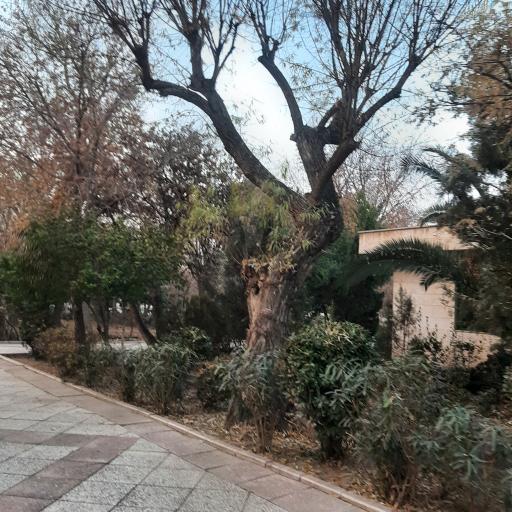 عکس ضلع جنوبی بوستان بسیج