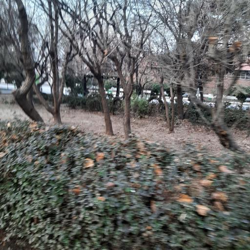 عکس ضلع جنوبی بوستان بسیج