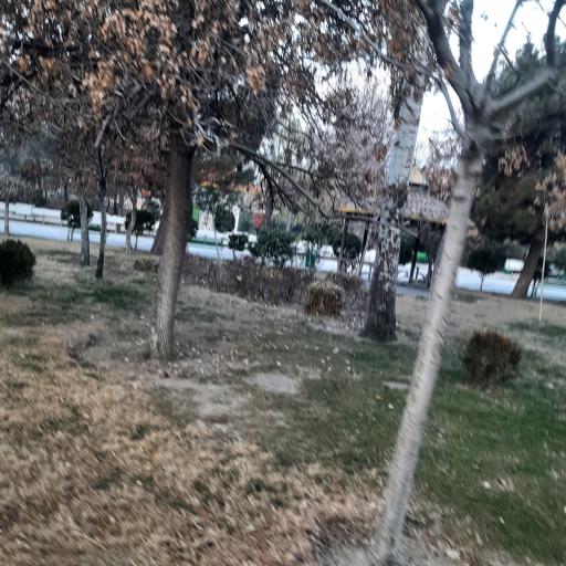 عکس ضلع جنوبی بوستان بسیج