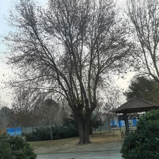 عکس ضلع جنوبی بوستان بسیج