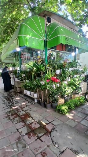 عکس گل فروشی