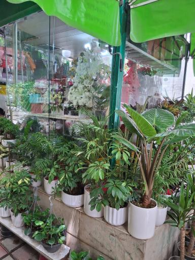 عکس گل فروشی