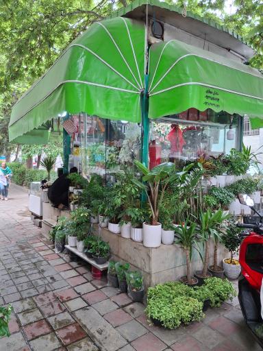 عکس گل فروشی