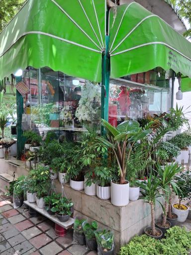 عکس گل فروشی