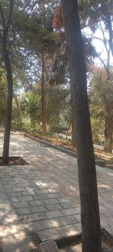 عکس بوستان رضوان (پارک بابائیان سابق)