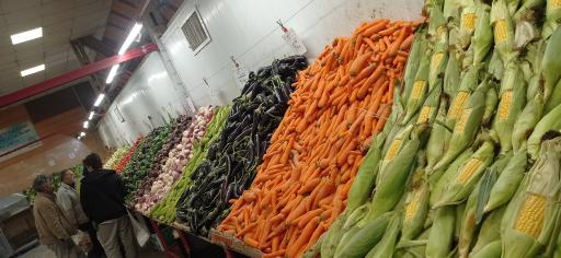 عکس بازار روز میوه و تره‌بار شهید توکلی