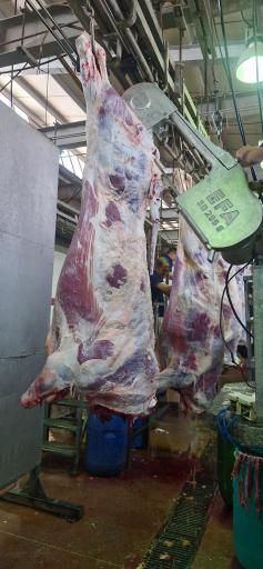 عکس سوپر گوشت داوود 