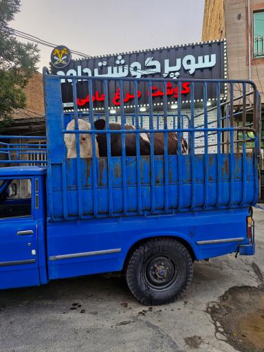 عکس سوپر گوشت داوود 