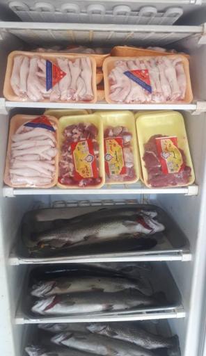 عکس مرغ و ماهی متین 