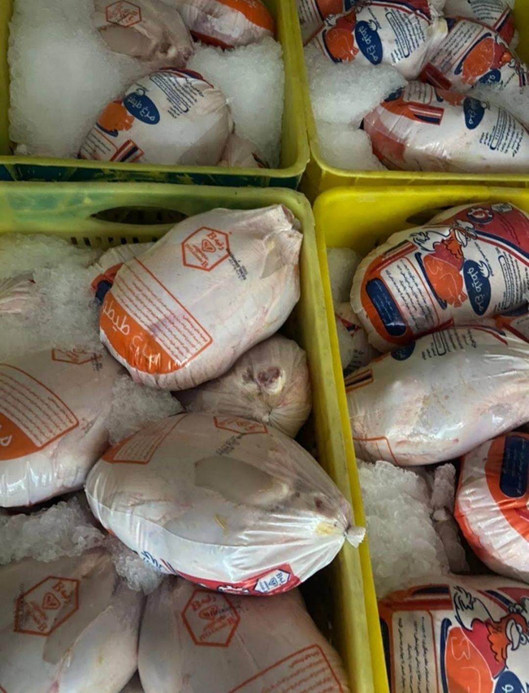 عکس مرغ و ماهی متین 