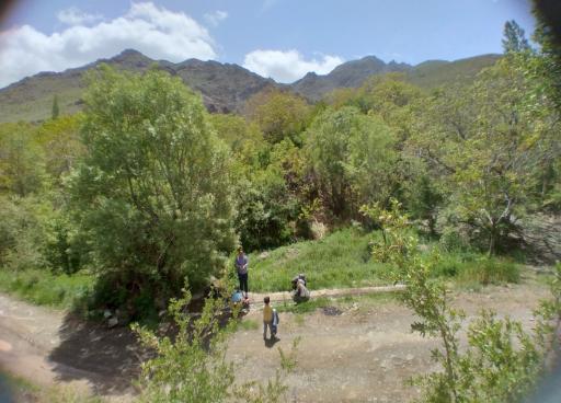 عکس خویین