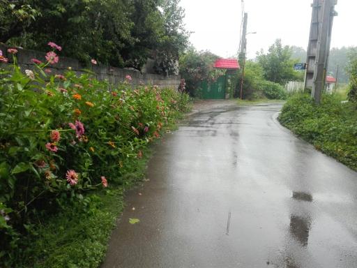 عکس چولاب