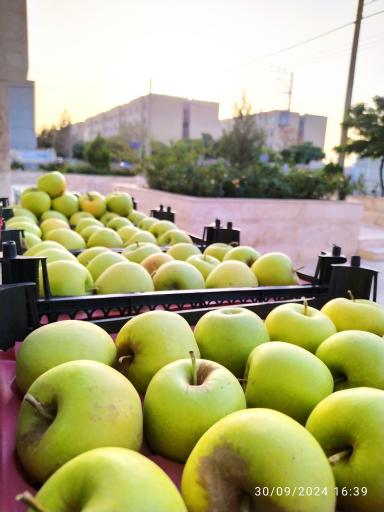 عکس هایپر میوه سیوان