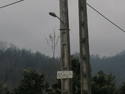 عکس آرایشگاه گل مریم