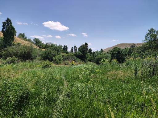 عکس خویین