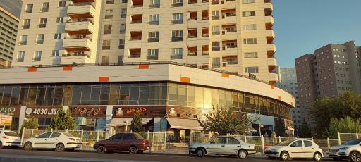 عکس طباخی دکتر کله