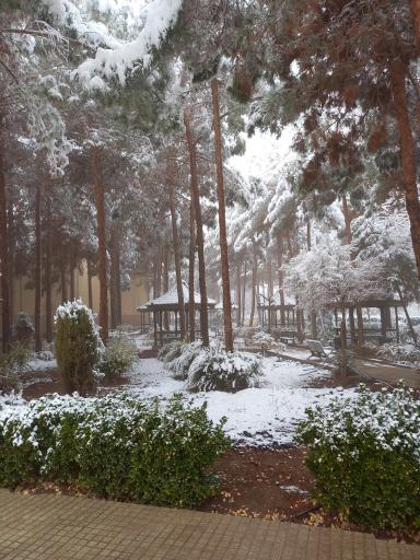 عکس پردیس بین‌الملل دانشگاه علوم پزشکی شهید صدوقی یزد