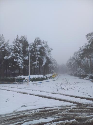 عکس پردیس بین‌الملل دانشگاه علوم پزشکی شهید صدوقی یزد