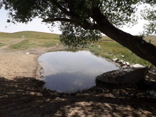 عکس تکیه