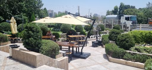 عکس طباخی دکتر کله