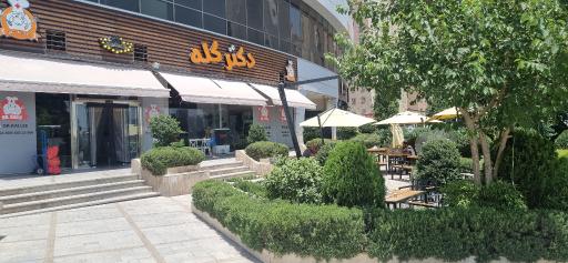 عکس طباخی دکتر کله