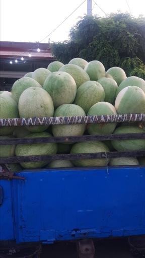 عکس بازار فروش هندوانه آزادی