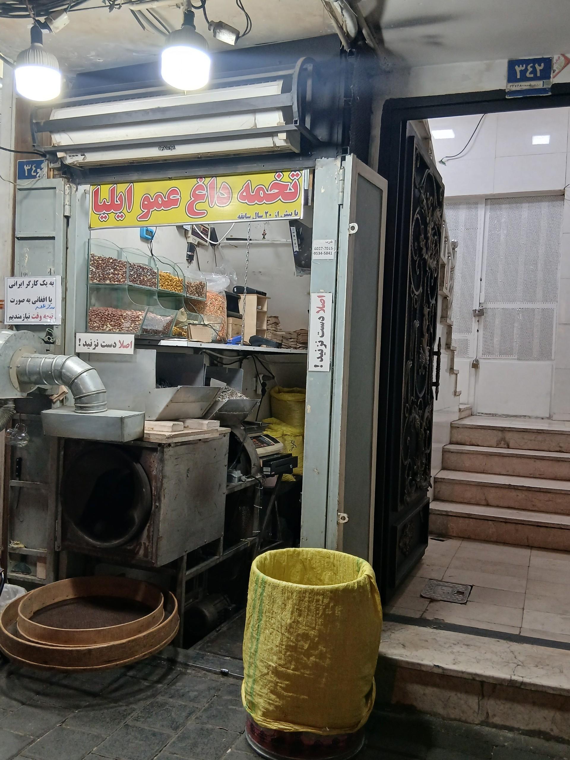 عکس تخمه داغ عمو ایلیا