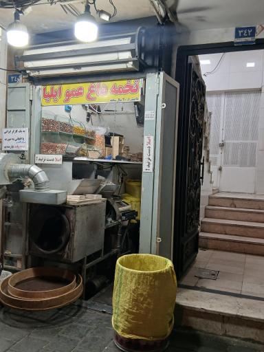 عکس تخمه داغ عمو ایلیا