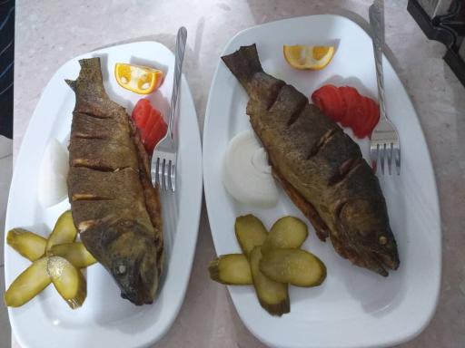 عکس رستوران متین