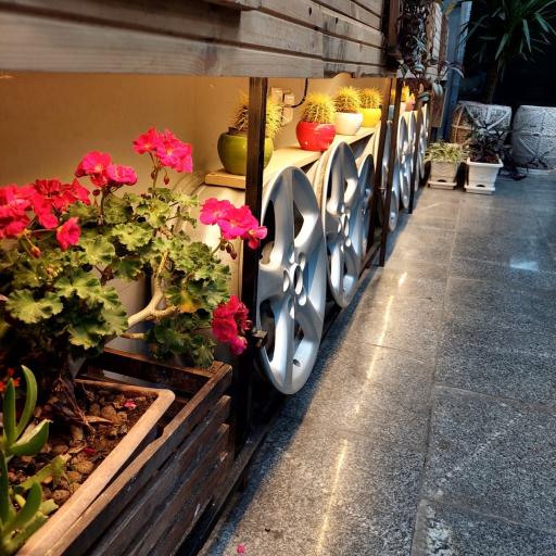 عکس ماکسیما پارت