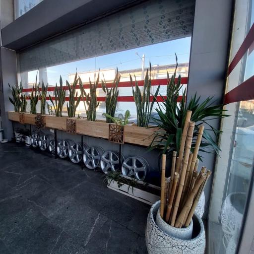 عکس ماکسیما پارت