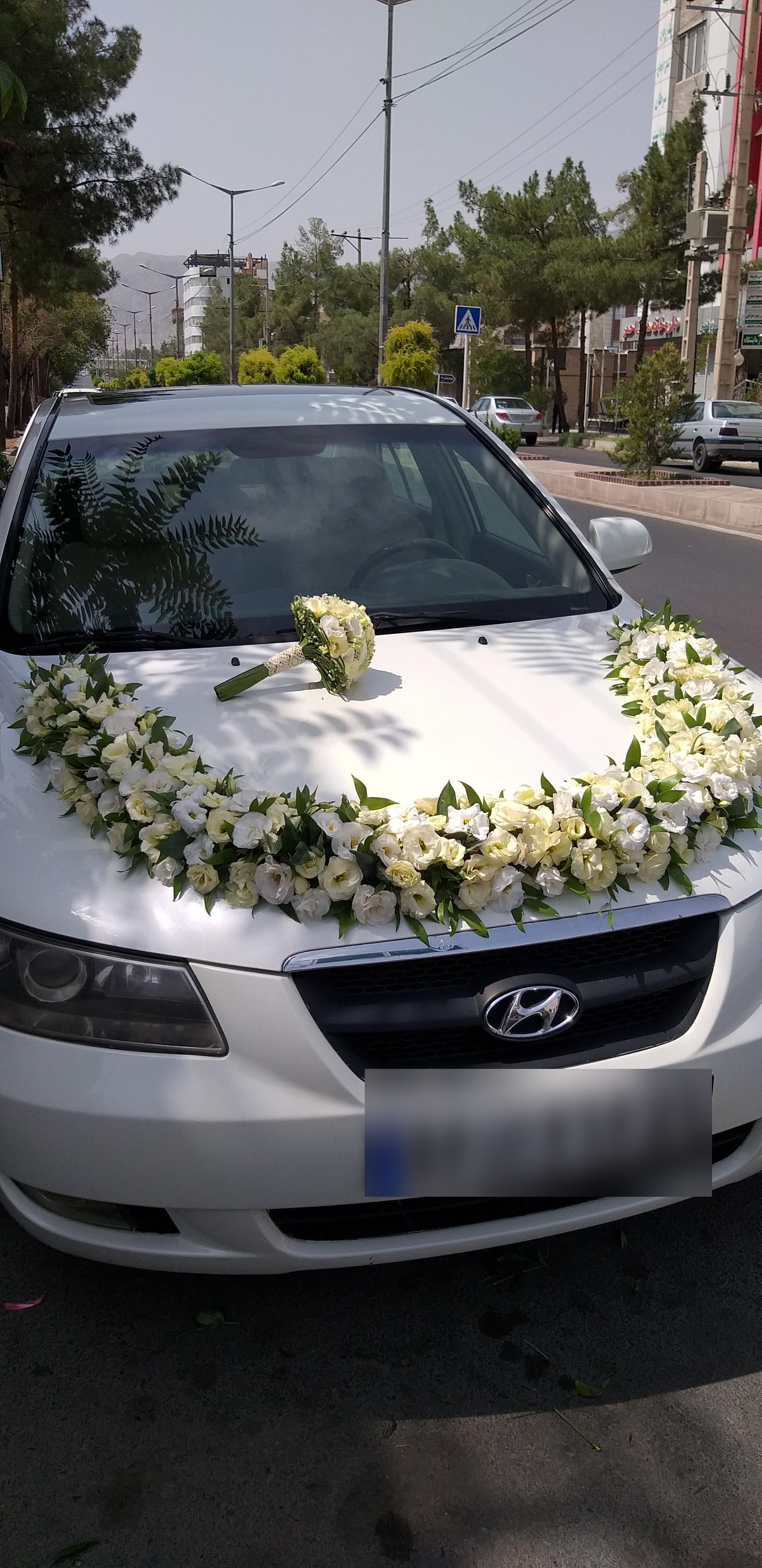 عکس گل فروشی آزالیا