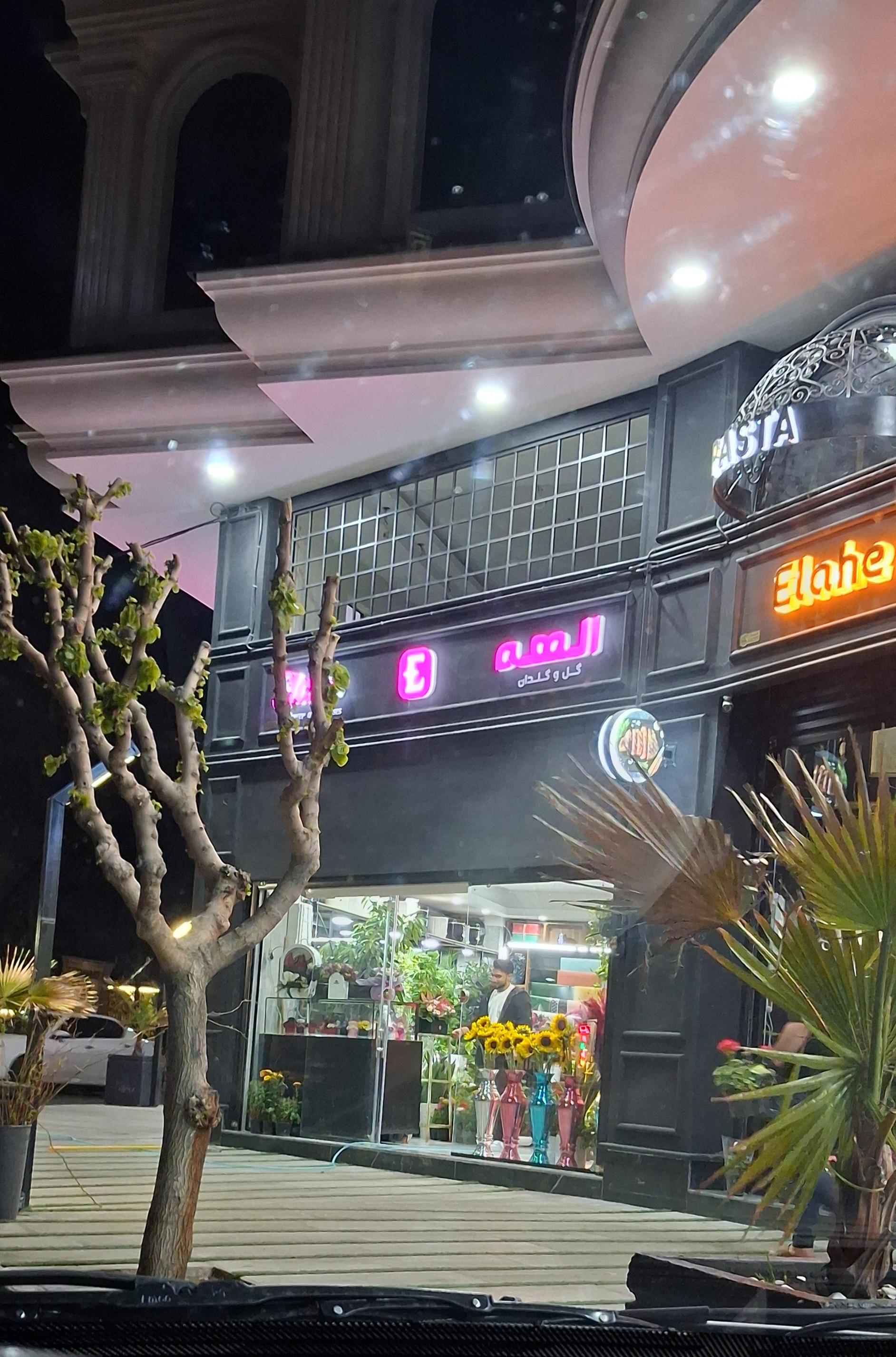 عکس گل فروشی الهه