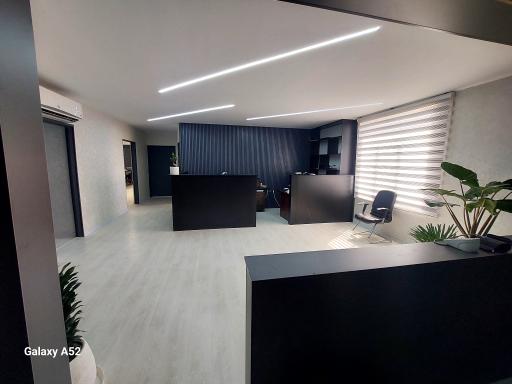 عکس قارچ کیمیای البرز
