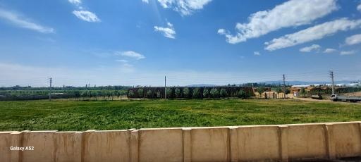 عکس قارچ کیمیای البرز